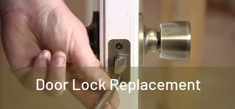  Door Lock Replacement 